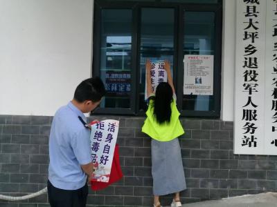 通城县大坪乡开展暑期禁毒宣传 守护青少年健康成长