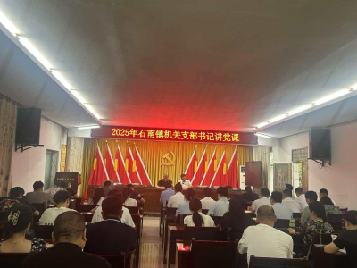 通城县石南镇：以学促干强本领 雏雁振翅展担当