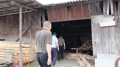 视频-通城县开展“护松 2025”打击涉松材线虫病疫木违法犯罪行为专项整治行动 