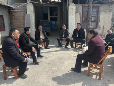 枝叶关情暖民心 代表担当显真情