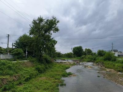 通城县大坪乡：人大代表践使命 共绘人居整治新画卷