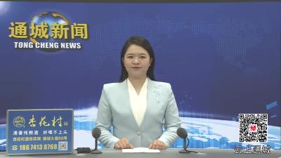视频-通城县举行2025年新兴领域党建业务知识培训 