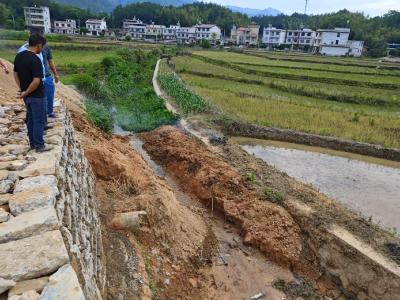 通城县大坪乡：农田水利巡查进行时 筑牢粮仓“生命线”