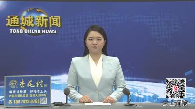 视频-通城县第十九届人大常委会第二十二次全体会议召开 