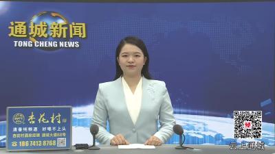 视频-通城县召开综治中心规范化建设推进会 