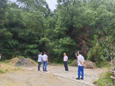 通城县沙堆镇人大：开展地质灾害点巡查 守护群众安全