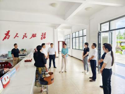 谭海华到塘湖镇调研学习教育工作