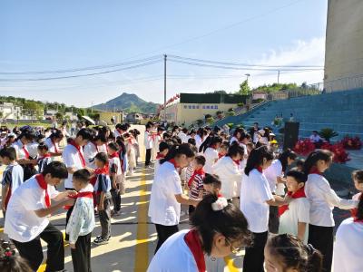 牢记党的教导 争做强国少年丨通城县麦市中心完小少先队入队仪式