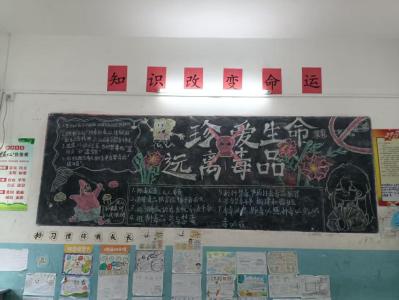 通城县沙堆中学开展禁毒主题宣传教育活动