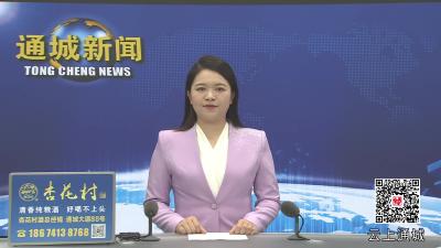 视频-杨修伟调研督办重点项目建设工作 