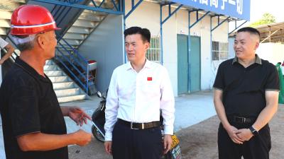 杨修伟调研督办重点项目建设工作