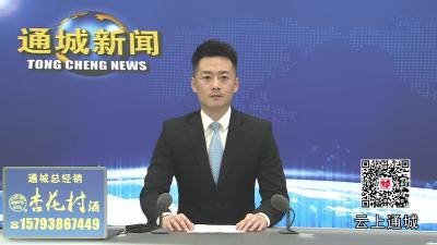视频-通城县政府党组深入贯彻中央八项规定精神学习教育查摆问题情况检视交流会召开
