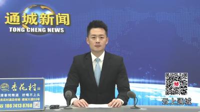 视频-通城城发集团创新党建共建模式  聚力推动重大项目建设提质增效