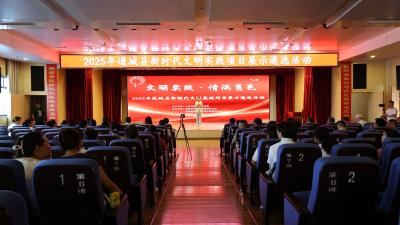 通城县开展2025年新时代文明实践项目展示遴选活动