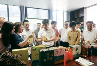 广东省和平县来通城考察油茶产业发展工作