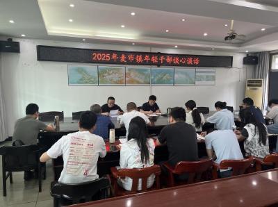 【干部素质提升年】通城县麦市镇：分层分类谈心谈话 精准护航干部成长
