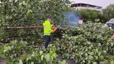 【暖心警事】暴雨突袭 通城公安紧急出动清障保畅通