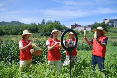 湖北通城：直播带货助农