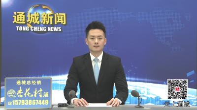 视频-省政协副主席张维国一行来通城调研 