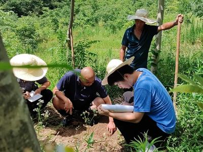 【干部素质提升年】通城县马港镇：青蓝结对育新苗 一线淬炼强本领