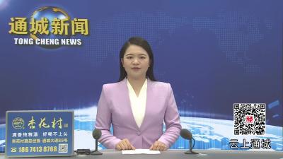 视频-杨修伟前往隽水镇雁塔社区调研基层治理工作