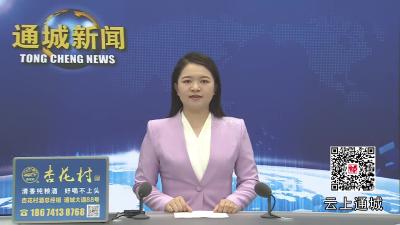 视频-2025年第11次通城县政府常务会议召开