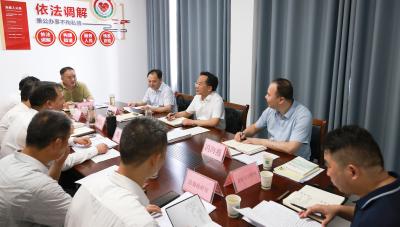 黄建平到隽水镇调研乡村振兴工作