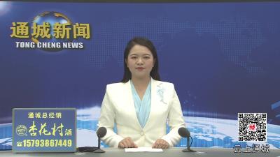视频-通城县民政领域集中整治工作暨初信初访化解攻坚月工作座谈会召开 