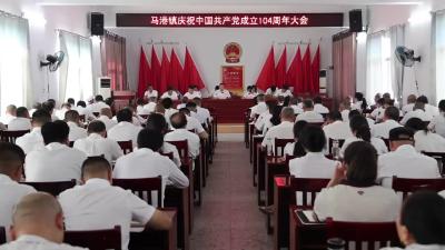 视频-马港镇召开庆祝中国共产党成立104周年大会