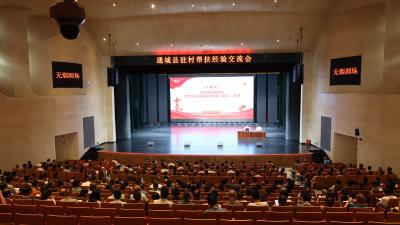 通城县召开驻村帮扶经验交流会
