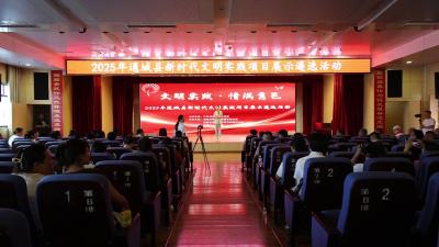 视频-通城县开展2025年新时代文明实践项目展示遴选活动 
