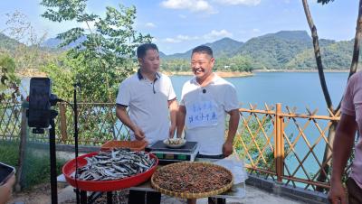 通城县四庄乡：直播间里“鲜”声夺人 电商助农让纸棚村农产“游”向全国