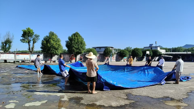通城四庄乡中心完小：积极筹备“水花行动” 为学生暑期防溺水安全护航