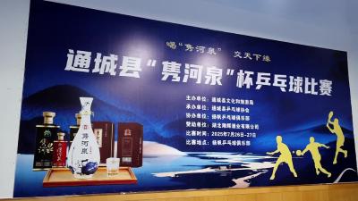 视频-民间高手争夺桂冠 通城县“隽河泉”杯乒乓球赛圆满落幕