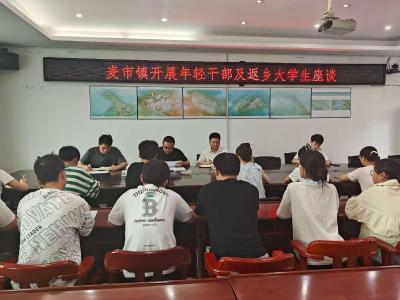 通城县麦市镇：凝聚青春力量 共话为民初心