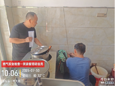 通城县石南镇开展餐饮场所燃气安全复查 筑牢民生安全防线