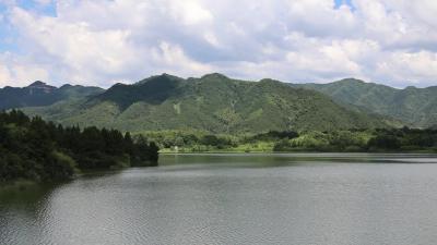 视频-通城巡特警大队联合蓝天救援队开展水域救援专项训练 