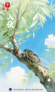 连续10年都是40天的纪录被终结！今年“三伏”30天！