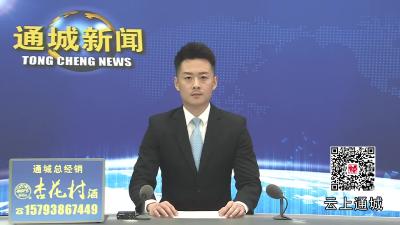 
视频-全市高标准农田建设现场推进会在通城召开