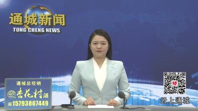 视频-通城县人大常委会视察调研2025 年上半年全县国民经济和社会发展计划执行及重点项目建设情况