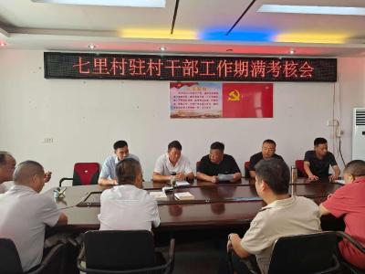 聚焦履职实效 通城县麦市镇驻村考核筑牢乡村振兴根基