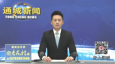 视频-谭海华来通城调研综治中心规范化建设工作