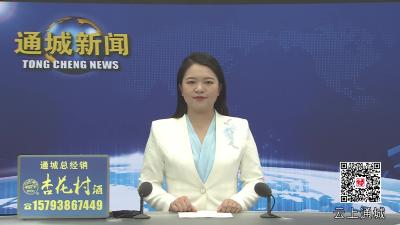 视频-市民政局领导来通城县民政局讲授深入贯彻中央八项规定精神学习教育专题党课 