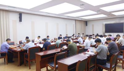 2025年第14次通城县政府常务会议召开