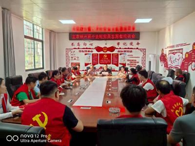 理论实践双赋能 党员服务暖民心丨通城县麦市镇“小麦粒”志愿服务队开展学习整治行动