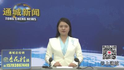 视频-通城县组织收听收看全市迎接省委安全生产巡查工作视频会议