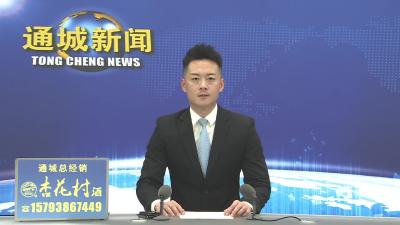 视频-【看通城·产业发展】通城县东港村：200余亩葡萄挂满枝头 “甜蜜产业”促增收