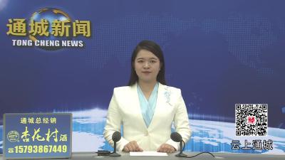 视频-杨修伟调研2025年三季度重大开工项目建设工作