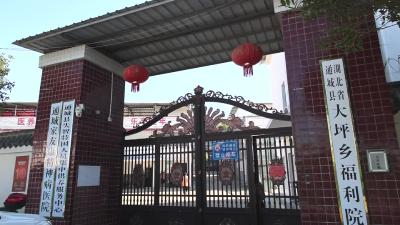 视频-通城县大坪乡福利院彭小梅：扎根福利院 用爱心筑牢温暖港湾