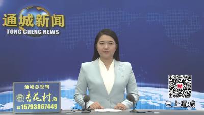 视频-杨修伟率队赴海南省招商考察